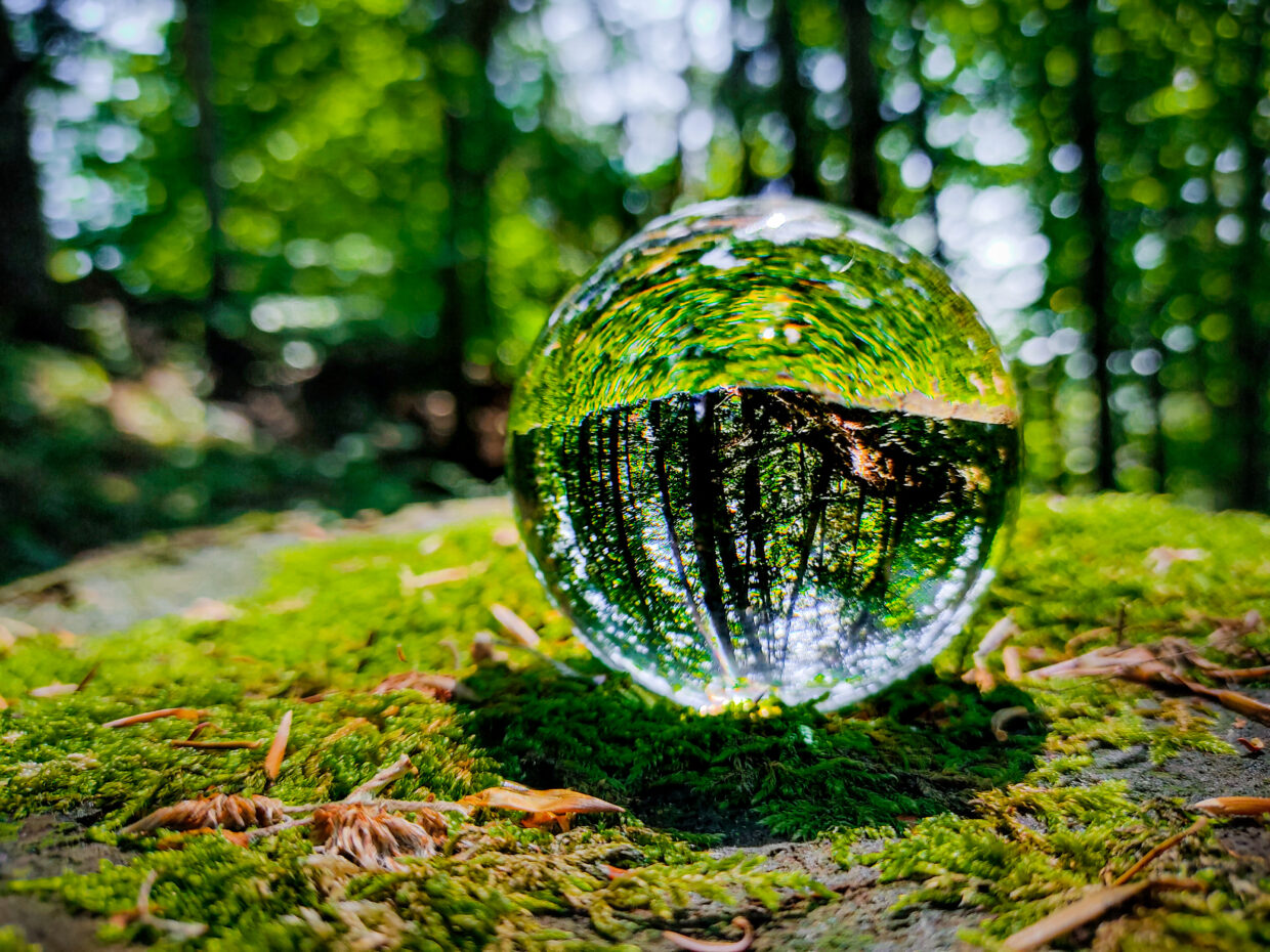 Lensball – Glaskugel Fotografie – janglemaus